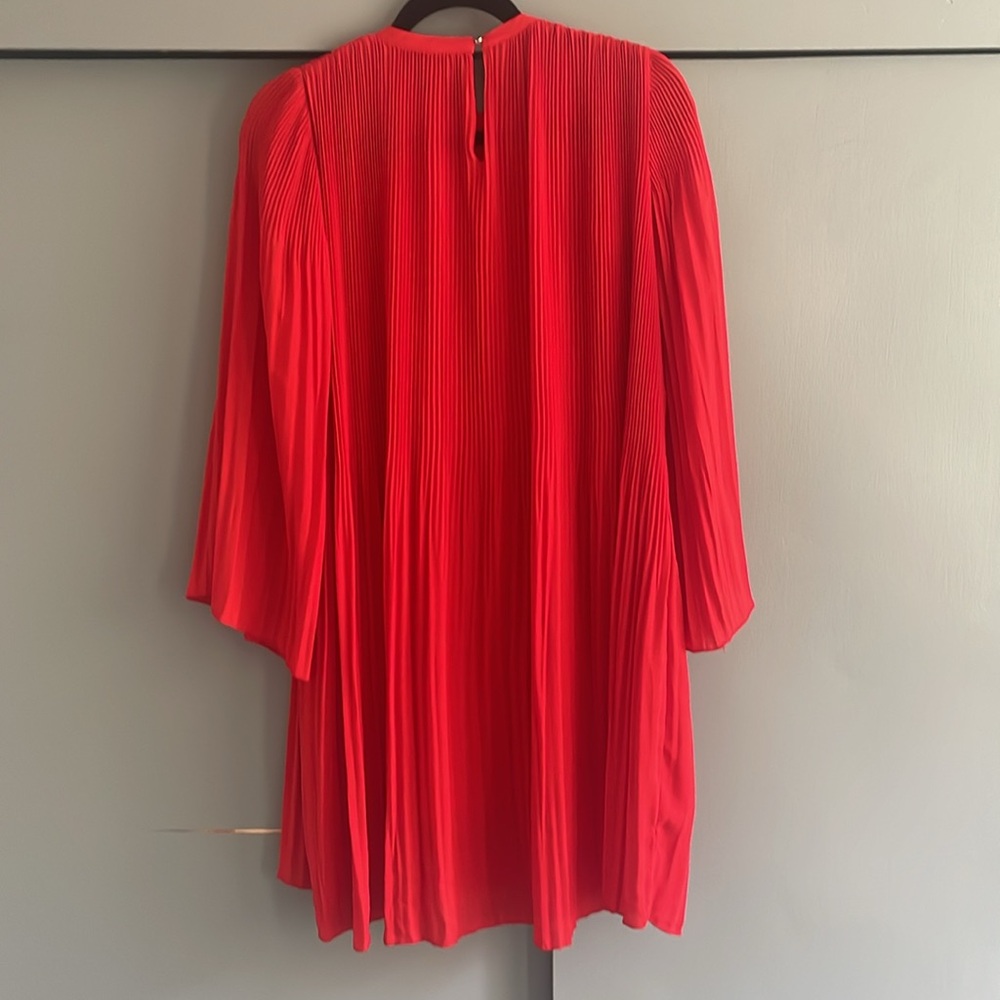 Zara Dress - Picture 3 of 3